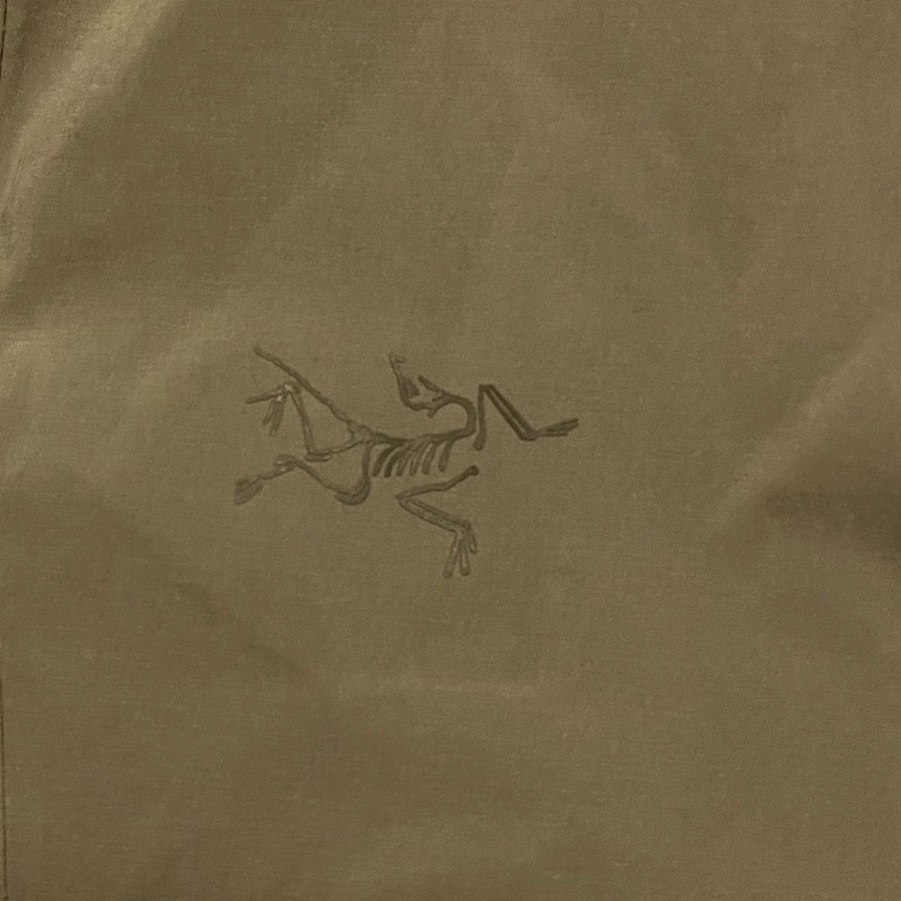 Arc’teryx shorts